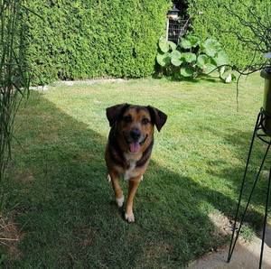 Meet your Posher, Neeva